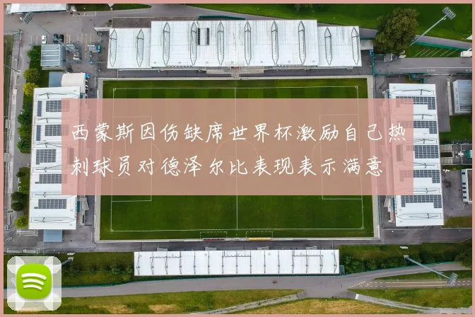 西蒙斯因伤缺席世界杯激励自己热刺球员对德泽尔比表现表示满意