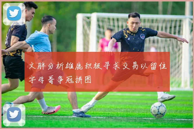 文胖分析雄鹿积极寻求交易以留住字母哥争冠拼图
