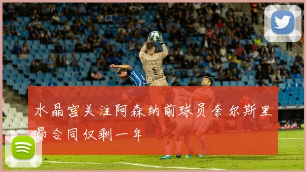 水晶宫关注阿森纳前球员奈尔斯里昂合同仅剩一年